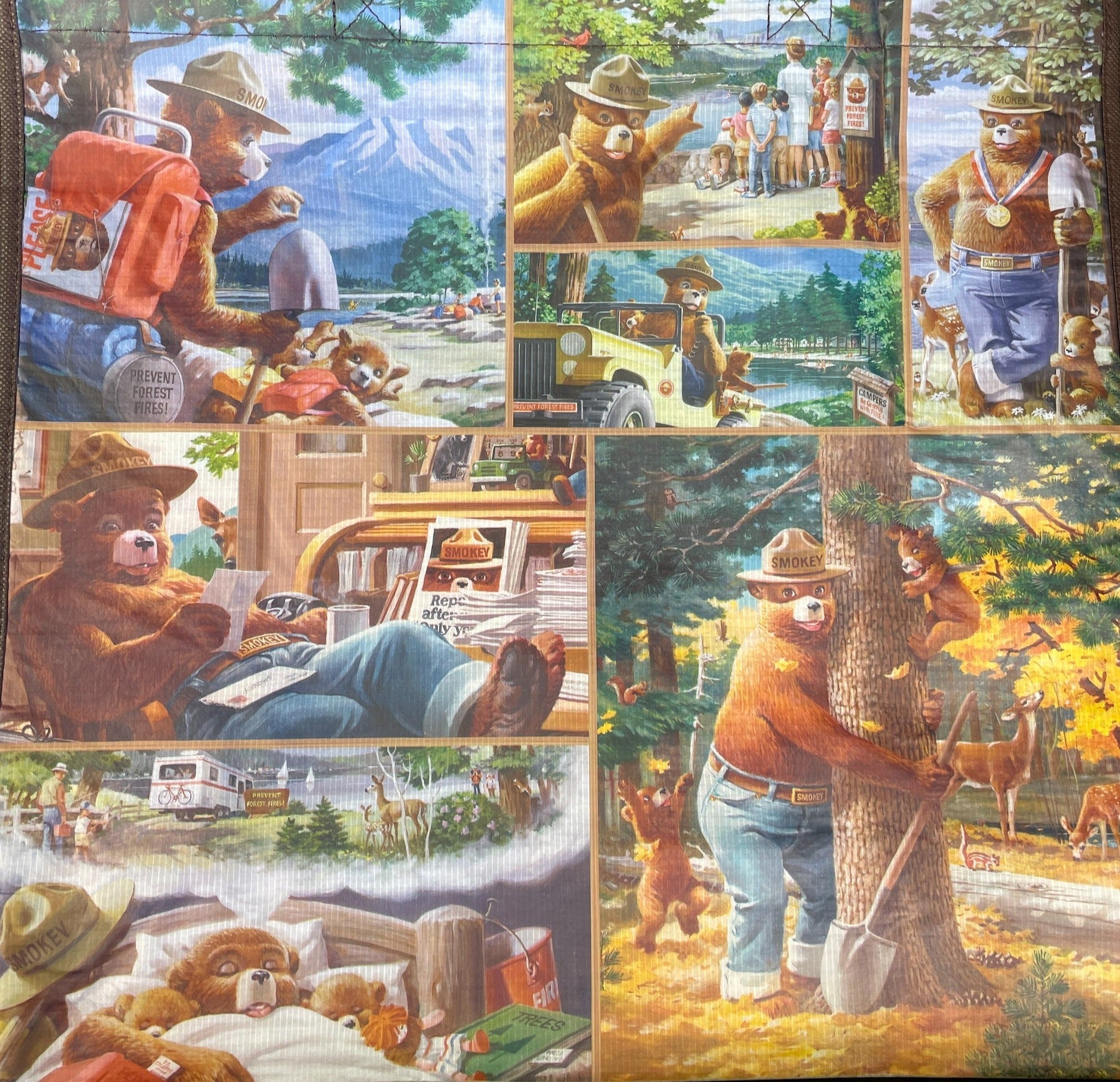 Tote - Smokey Recycle Bag CEBR - RBG-47236 - Zion Natl Park Forever Project