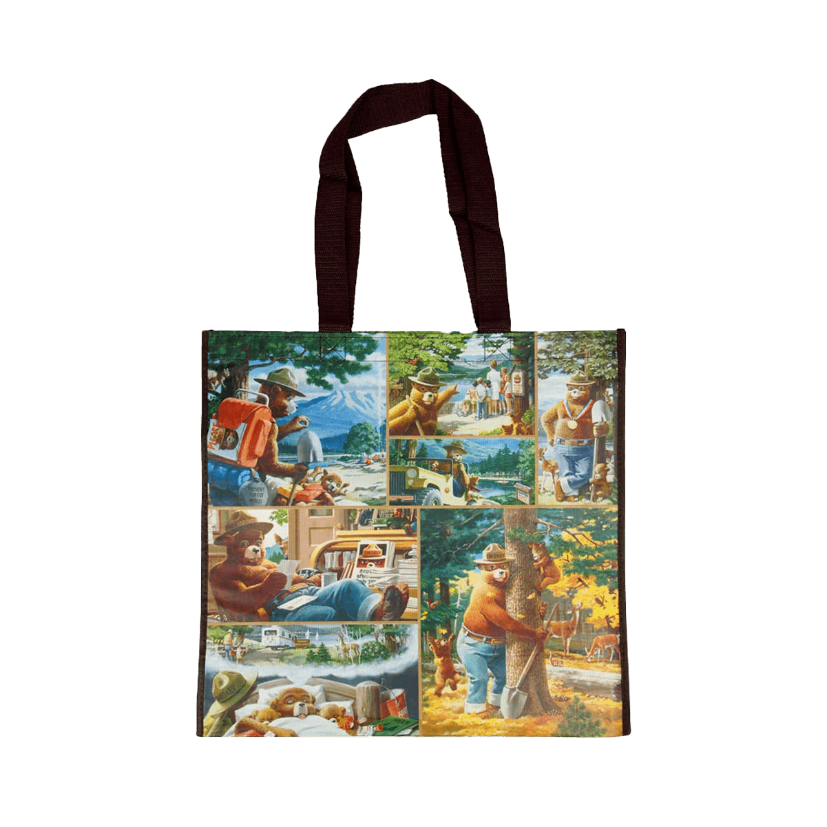 Tote - Smokey Recycle Bag CEBR - RBG-47236 - Zion Natl Park Forever Project