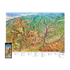 Map - Zion Pano Trail Tracks - Zion Natl Park Forever Project