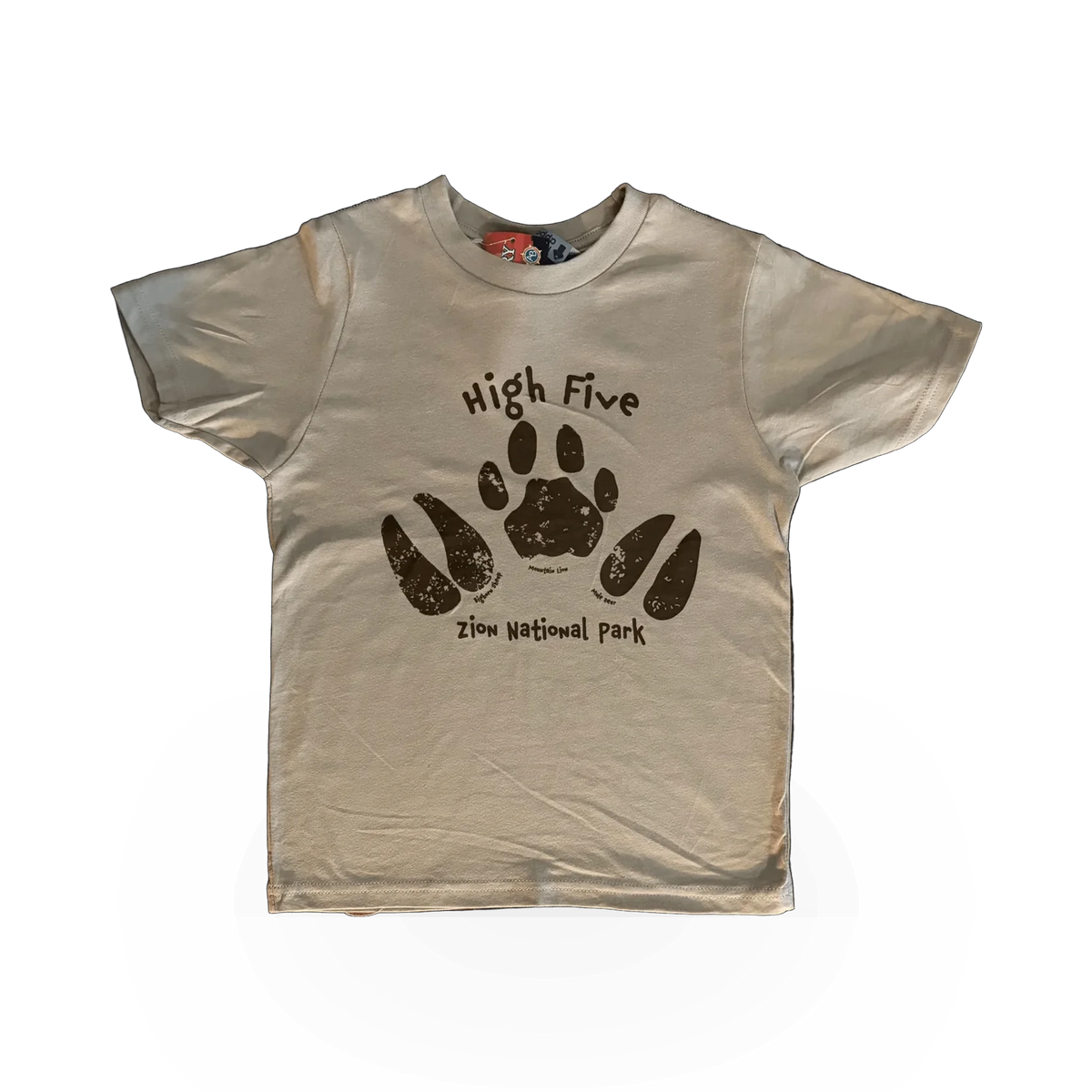 Youth T-shirt featuring a High Five from Zion theme by American Backcountry, showcasing vibrant design and comfortable fabric.
