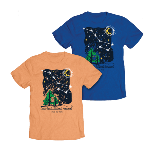 Tshirt - Yth Night Sky - Zion Natl Park Forever Project