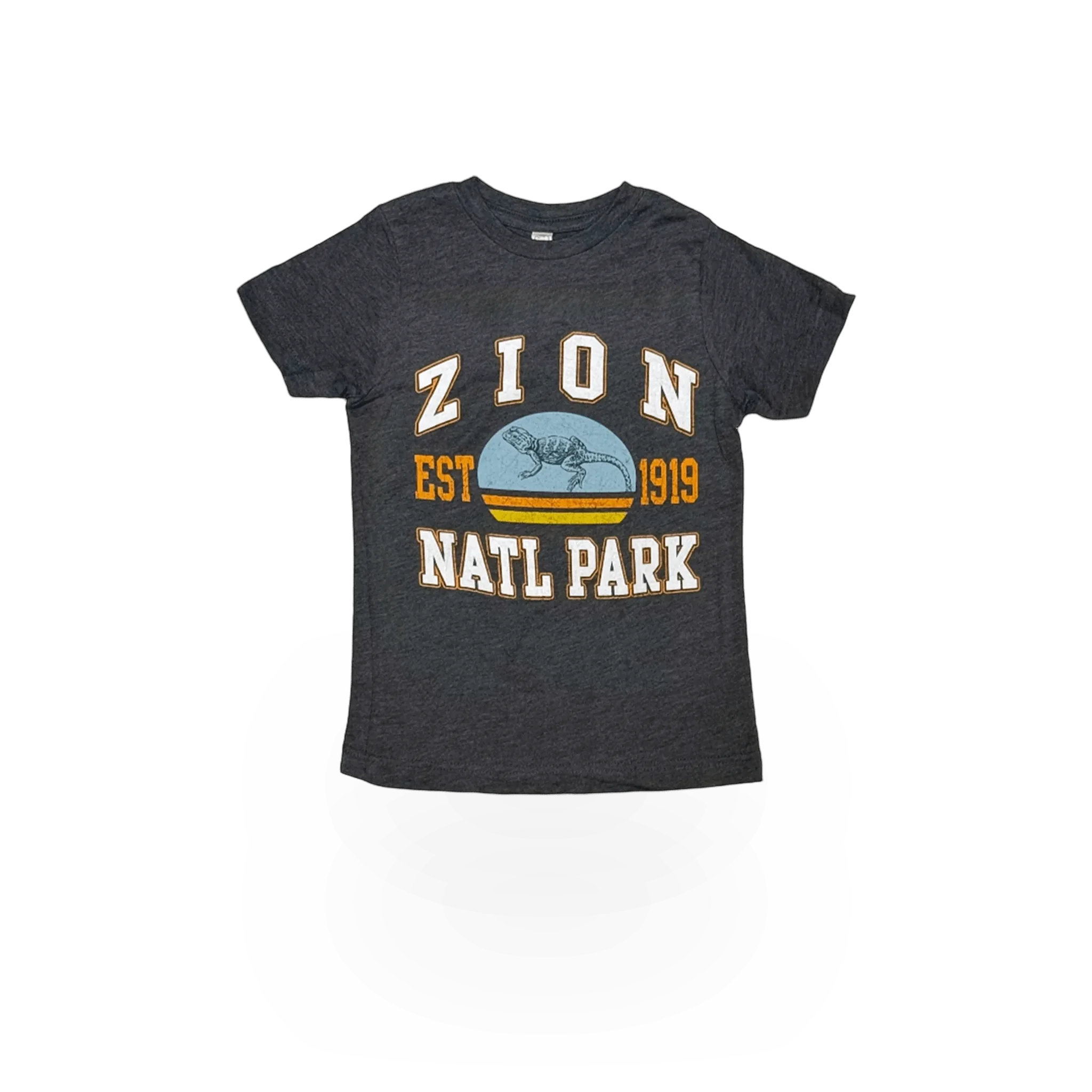 RMR Designs vintage athletic lizard themed T-shirt with graphic print, casual fit, perfect for everyday wear.