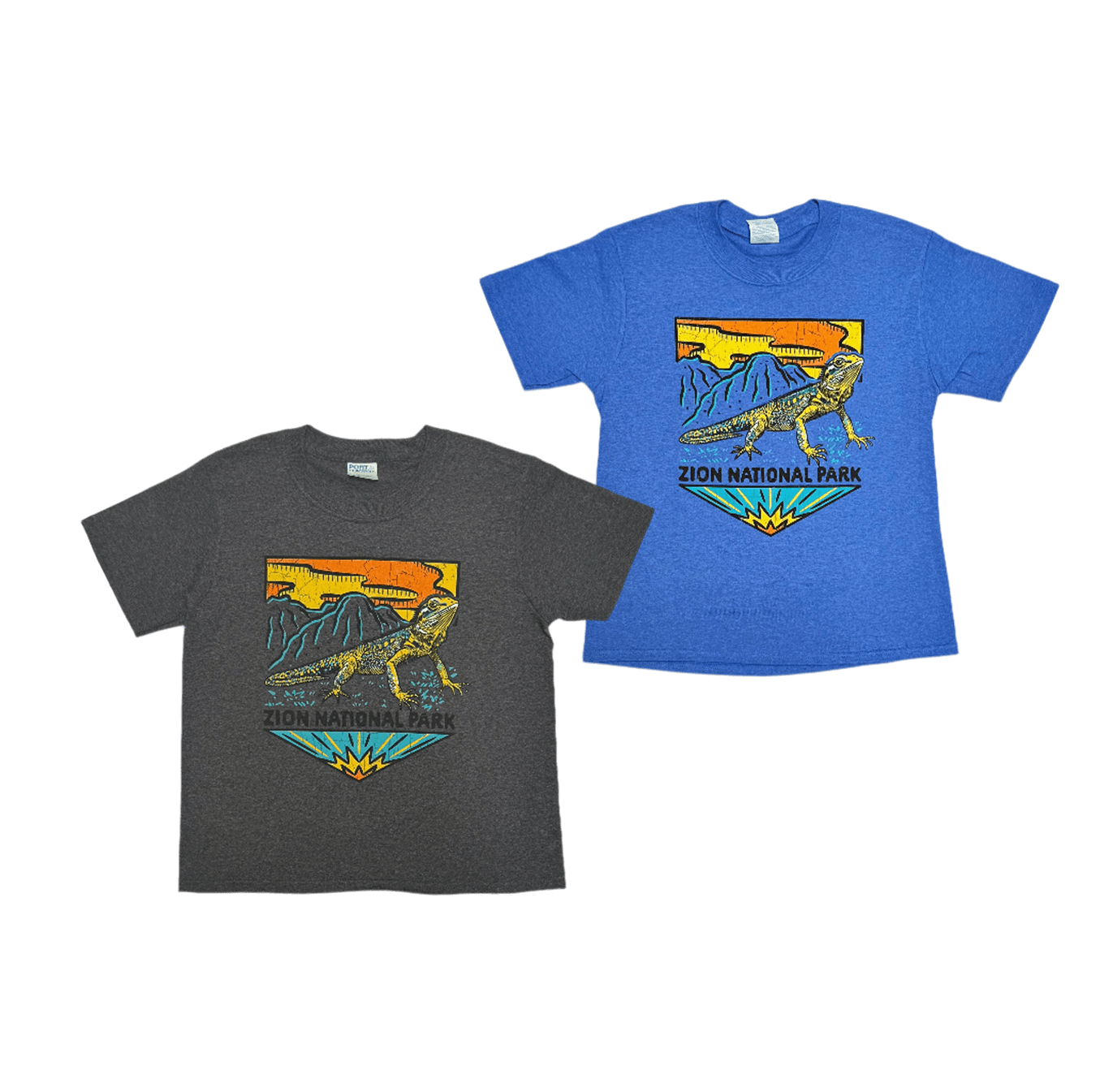 Tshirt - Yth Woodblock Collared Lizard - Zion Natl Park Forever Project