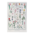 Poster - Utah Wildflowers - Zion Natl Park Forever Project