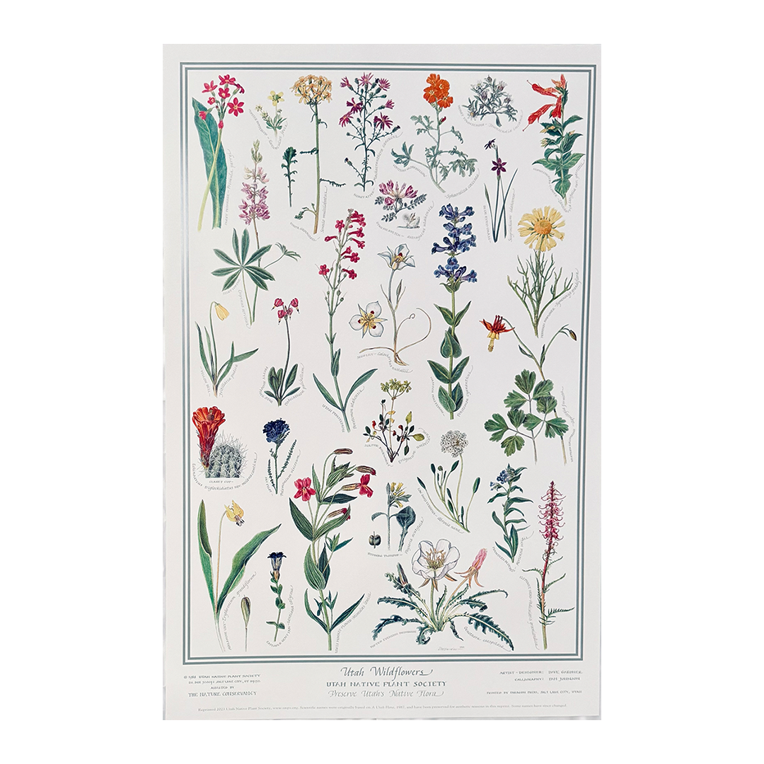 Poster - Utah Wildflowers - Zion Natl Park Forever Project