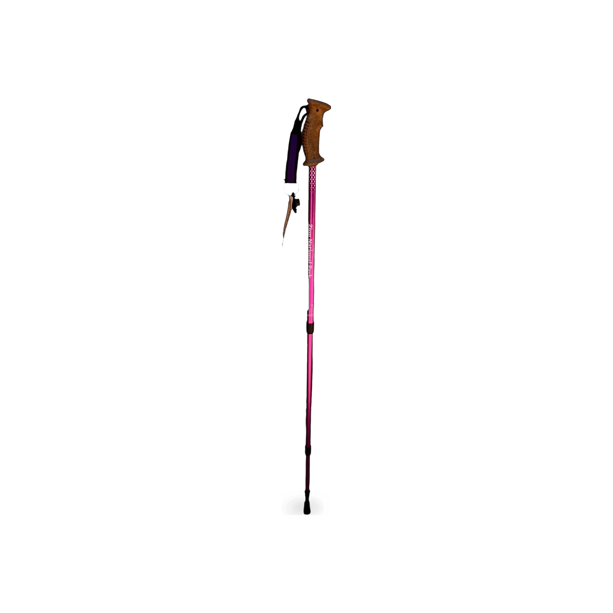 Collapsible safety walking stick in assorted colors with rubber tip for support and stability.