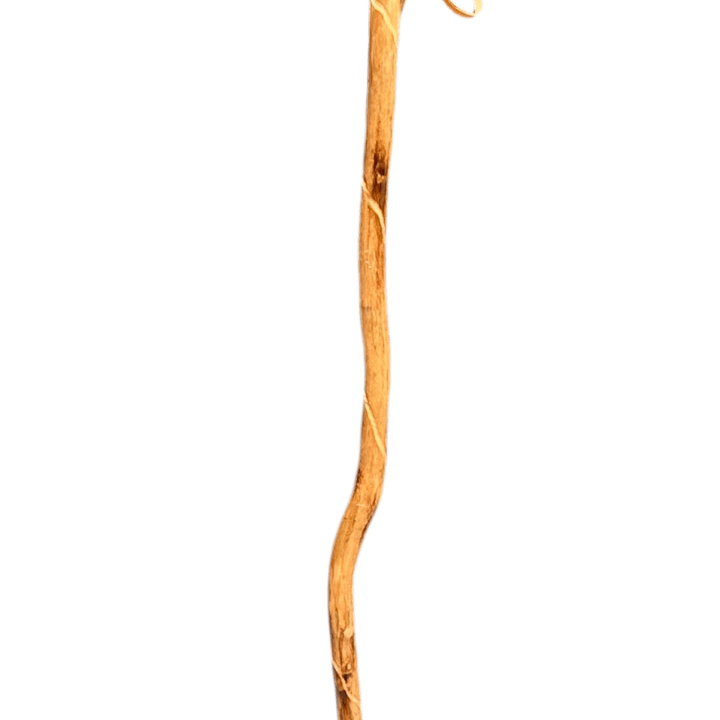 Walking Stick - Compass - Zion - 92313-HS55 - Zion Natl Park Forever Project