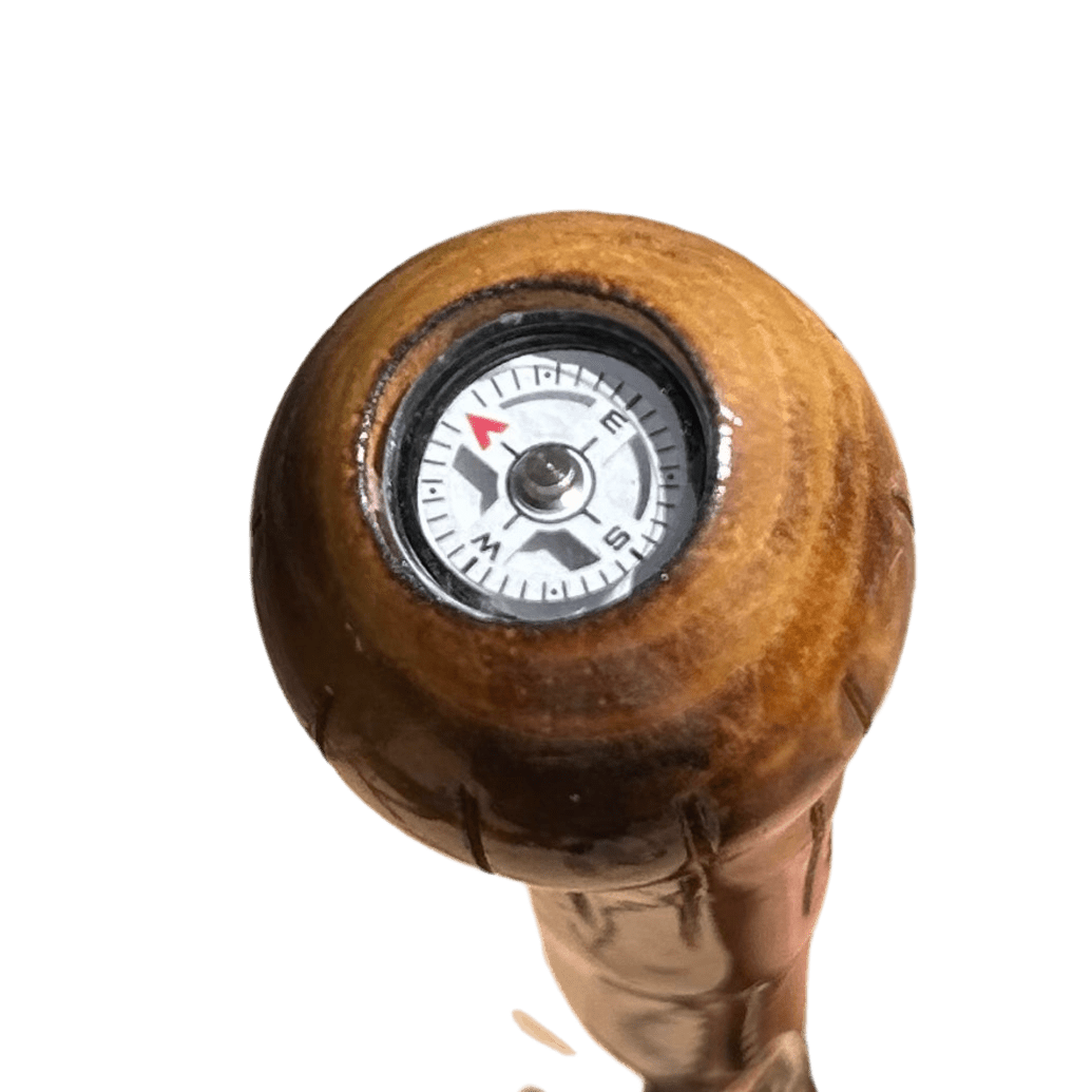 Walking Stick - Compass - Zion - 92313-HS55 - Zion Natl Park Forever Project