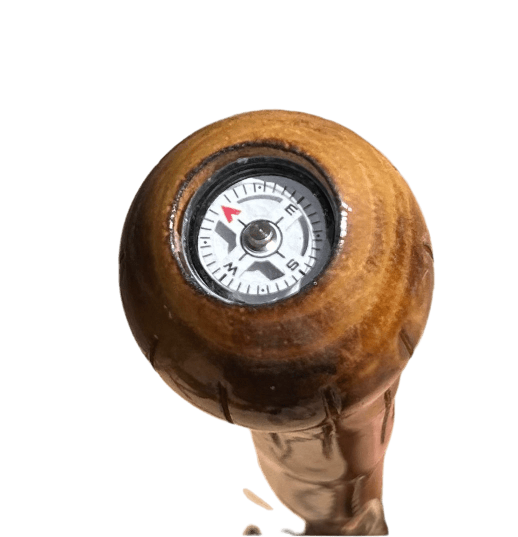 Walking Stick - Compass - Zion - 92313-HS55 - Zion Natl Park Forever Project