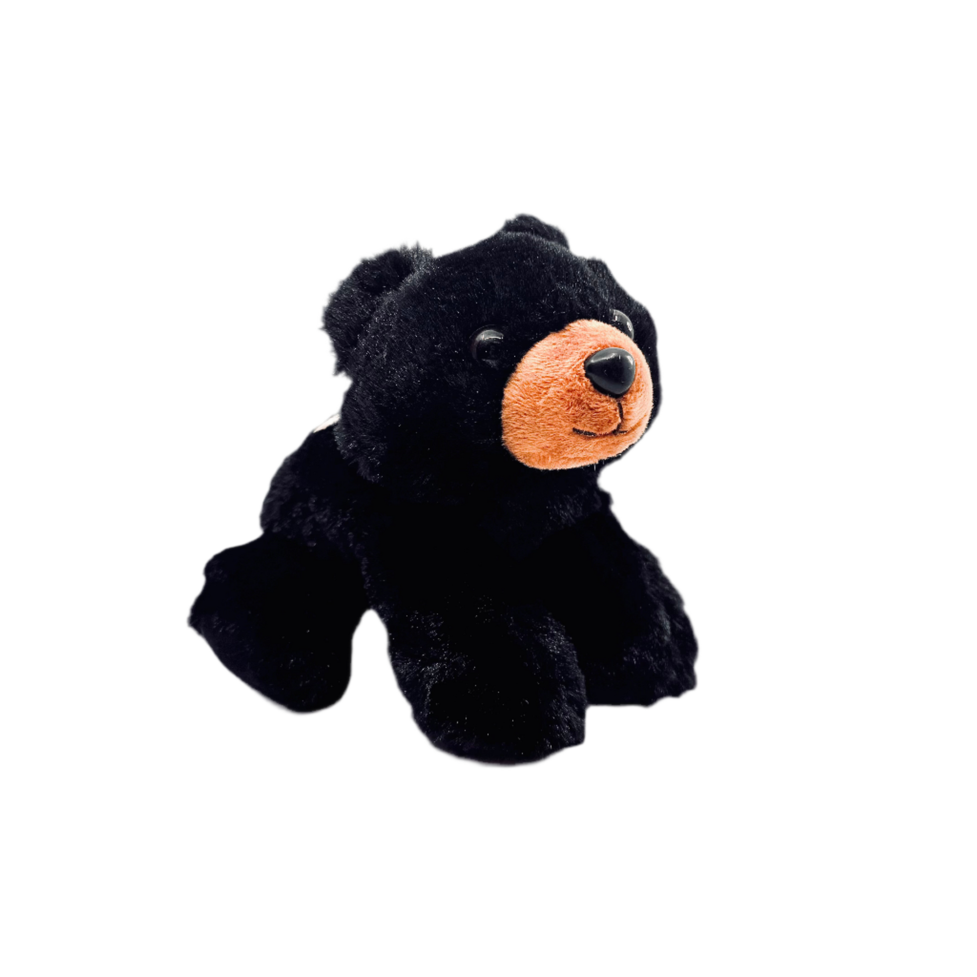 Plush - Black Bear - Zion Natl Park Forever Project