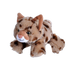 Plush - Bobcat - - Zion Natl Park Forever Project