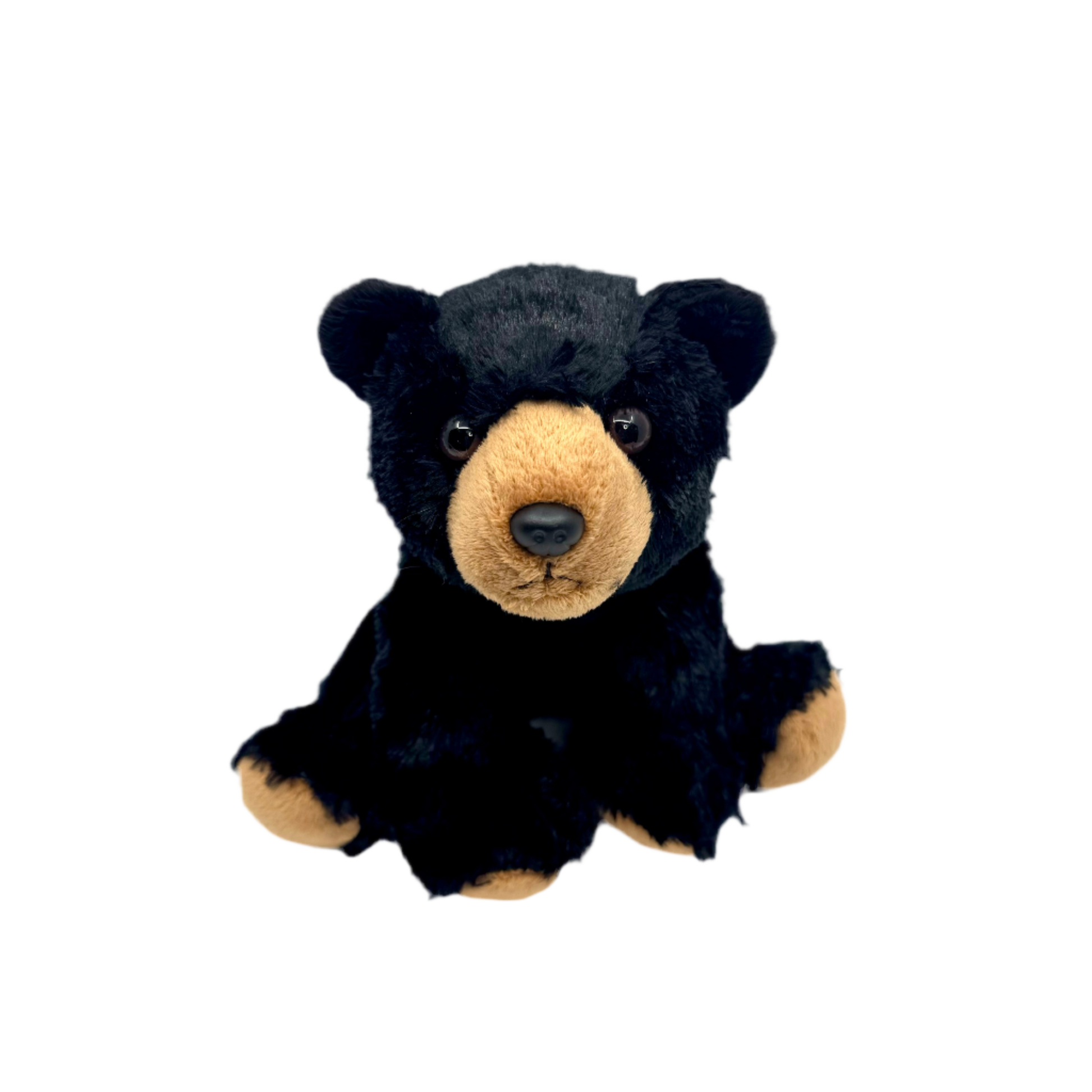 Plush - Black Bear - - Zion Natl Park Forever Project