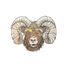 Sticker - Zion Bighorn - D - Zion Natl Park Forever Project