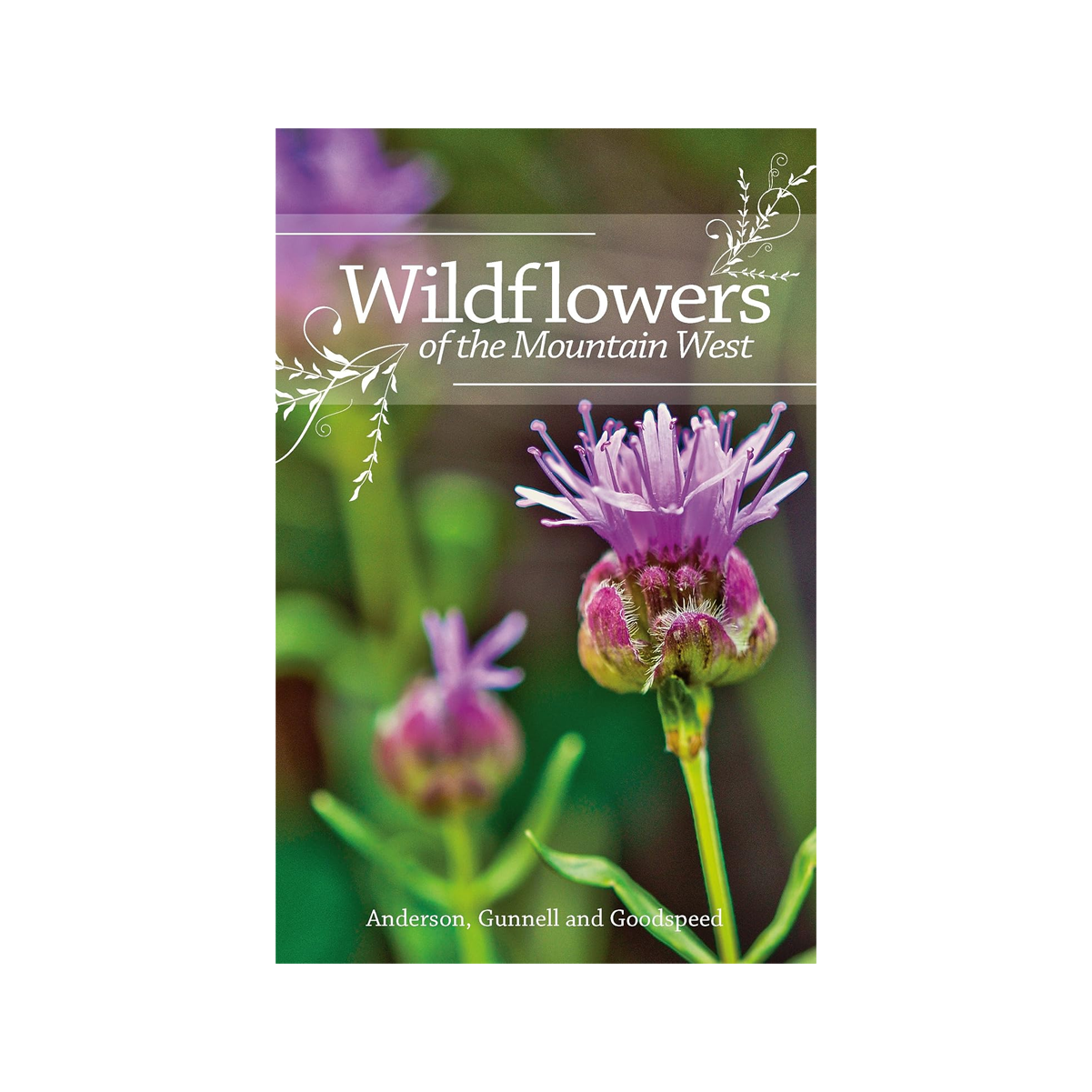 Book - Wildflowers Of Mountain West - Zion Natl Park Forever Project